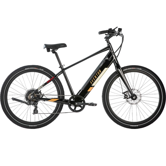  Pace 350 V2 E-Bike