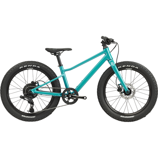 BMC Youth Twostroke AL 20 V2